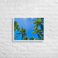 Nap Under the Palms (Framed canvas)