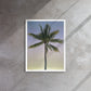 Morning Palm (Framed Canvas)