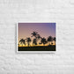 Lavender Palms (Framed Canvas)