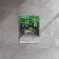 A Stroll Through The Gardens (Thin Canvas)