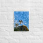 3rd Vine Morning (Thin Canvas)
