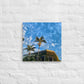 3rd Vine Morning (Thin Canvas)