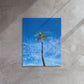 Port Royal Palm (Thin Canvas)