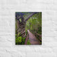 Wilderness Walk (Thin Canvas)