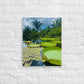 Botanical Lily Pads (Thin Canvas)