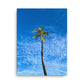 Port Royal Palm (Thin Canvas)