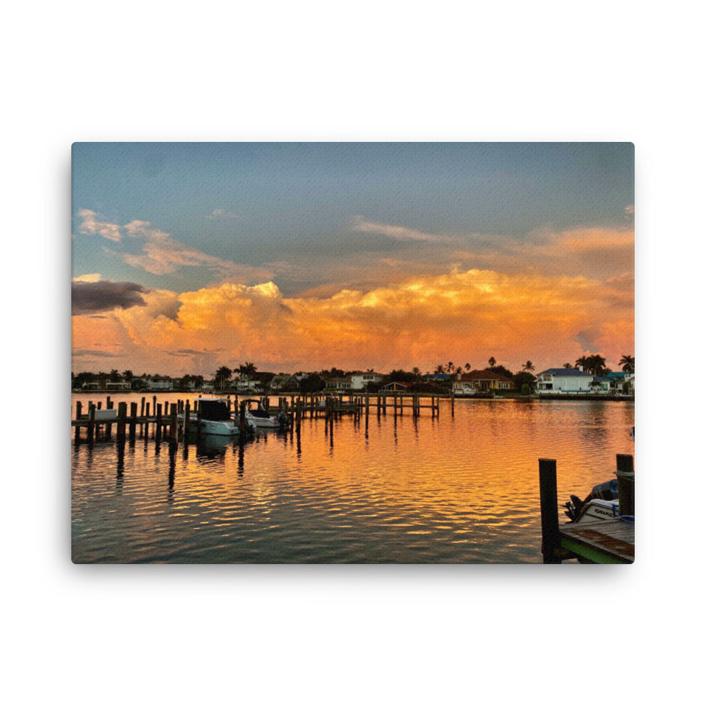 Ablaze in Park Shore (Thin Canvas)