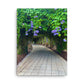 A Stroll Through The Gardens (Thin Canvas)