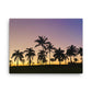 Lavender Palms (Thin Canvas)